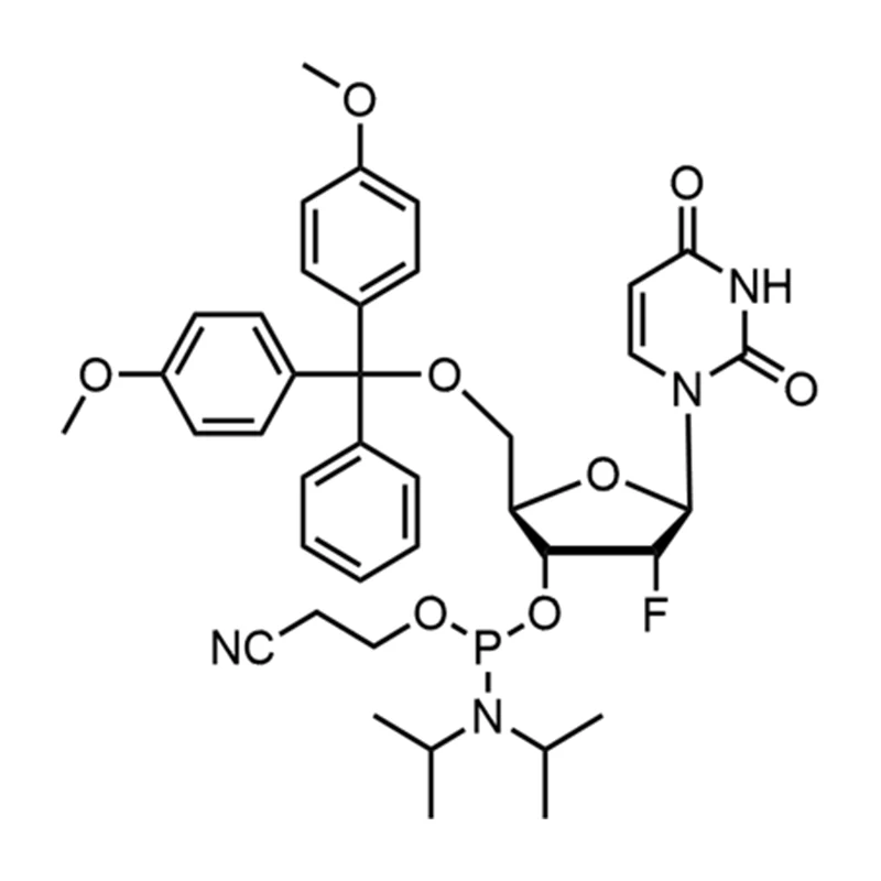 2'-F-dU Fosforamidiet