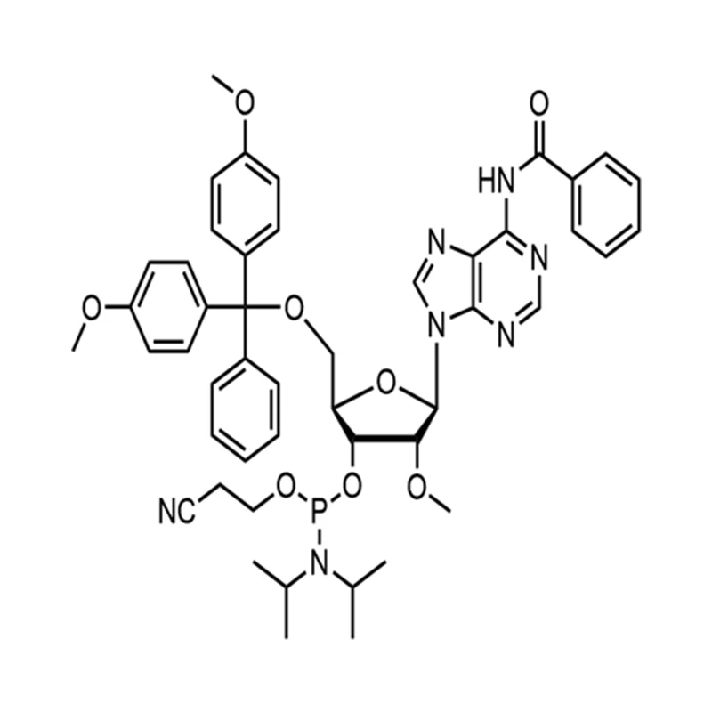 2'-O-methyl-rA(N-Bz)fosforamidiet