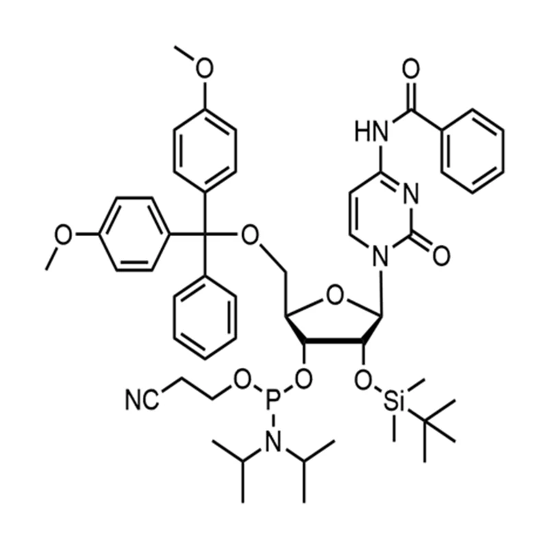 Bz-rC Fosforamidiet